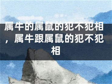 属牛的属鼠的犯不犯相，属牛跟属鼠的犯不犯相