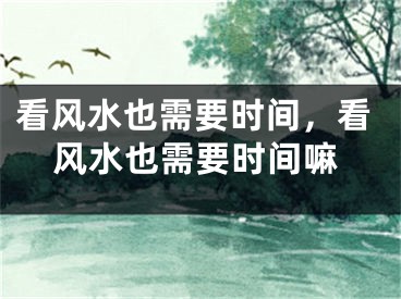 看风水也需要时间，看风水也需要时间嘛