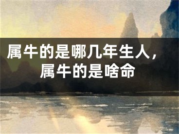 属牛的是哪几年生人，属牛的是啥命