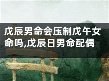 戊辰男命会压制戊午女命吗,戊辰日男命配偶