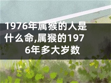 1976年属猴的人是什么命,属猴的1976年多大岁数