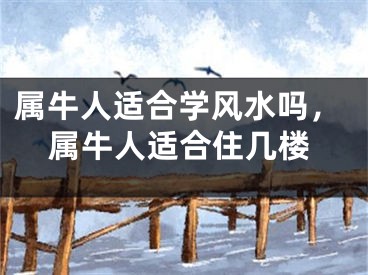 属牛人适合学风水吗，属牛人适合住几楼