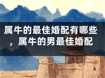 属牛的最佳婚配有哪些，属牛的男最佳婚配