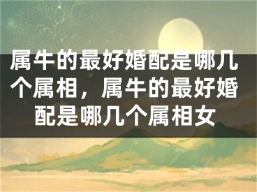 属牛的最好婚配是哪几个属相，属牛的最好婚配是哪几个属相女