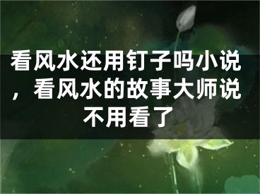 看风水还用钉子吗小说，看风水的故事大师说不用看了