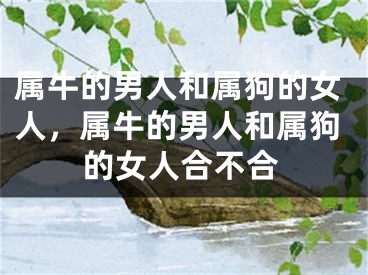 属牛的男人和属狗的女人，属牛的男人和属狗的女人合不合
