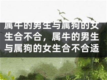 属牛的男生与属狗的女生合不合，属牛的男生与属狗的女生合不合适