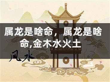 属龙是啥命，属龙是啥命,金木水火土