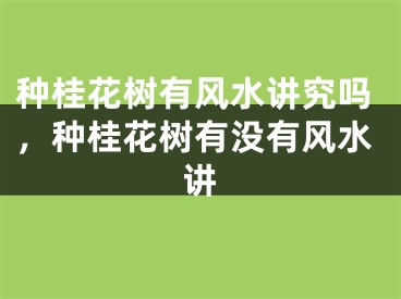 种桂花树有风水讲究吗，种桂花树有没有风水讲