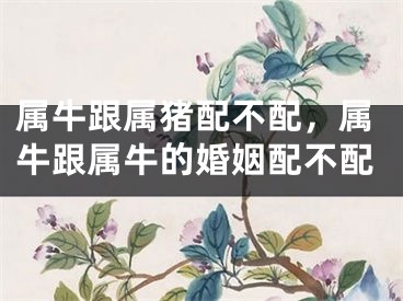 属牛跟属猪配不配，属牛跟属牛的婚姻配不配
