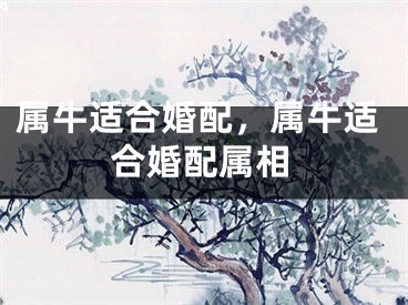 属牛适合婚配，属牛适合婚配属相