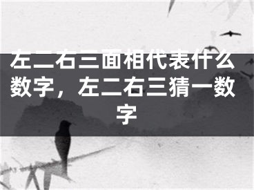 左二右三面相代表什么数字，左二右三猜一数字