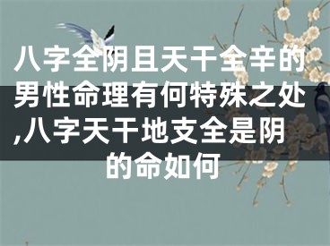 八字全阴且天干全辛的男性命理有何特殊之处,八字天干地支全是阴的命如何