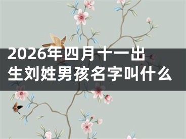 2026年四月十一出生刘姓男孩名字叫什么