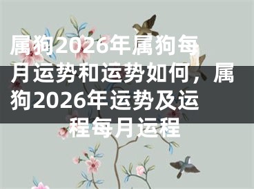 属狗2026年属狗每月运势和运势如何，属狗2026年运势及运程每月运程