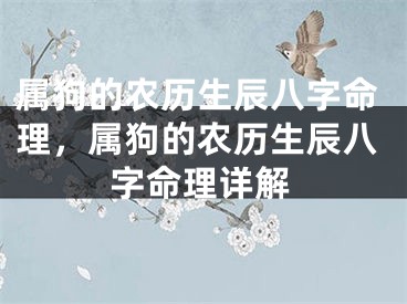 属狗的农历生辰八字命理，属狗的农历生辰八字命理详解