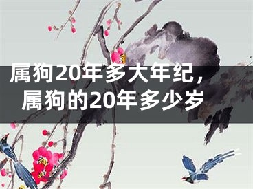 属狗20年多大年纪，属狗的20年多少岁