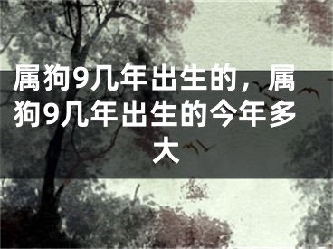 属狗9几年出生的，属狗9几年出生的今年多大