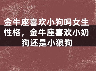 金牛座喜欢小狗吗女生性格，金牛座喜欢小奶狗还是小狼狗