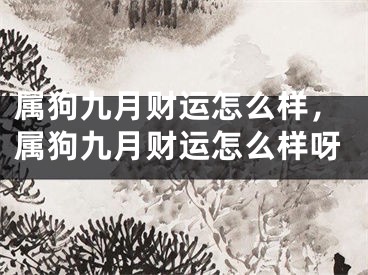 属狗九月财运怎么样，属狗九月财运怎么样呀