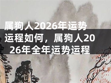 属狗人2026年运势运程如何，属狗人2026年全年运势运程