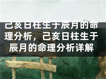 己亥日柱生于辰月的命理分析，己亥日柱生于辰月的命理分析详解