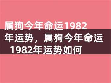 属狗今年命运1982年运势，属狗今年命运1982年运势如何