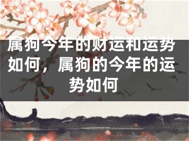 属狗今年的财运和运势如何，属狗的今年的运势如何