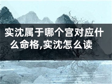 实沈属于哪个宫对应什么命格,实沈怎么读
