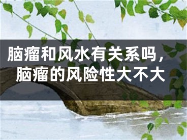 脑瘤和风水有关系吗，脑瘤的风险性大不大