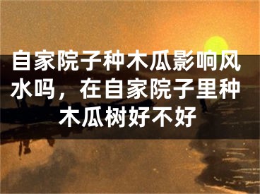 自家院子种木瓜影响风水吗，在自家院子里种木瓜树好不好