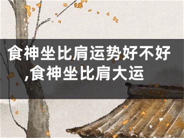 食神坐比肩运势好不好,食神坐比肩大运