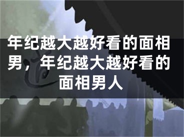 年纪越大越好看的面相男，年纪越大越好看的面相男人