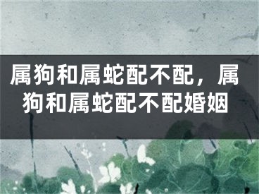 属狗和属蛇配不配，属狗和属蛇配不配婚姻