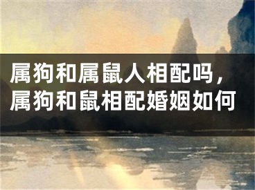 属狗和属鼠人相配吗，属狗和鼠相配婚姻如何