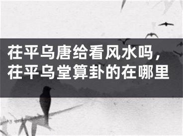 茌平乌唐给看风水吗，茌平乌堂算卦的在哪里
