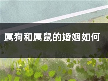 属狗和属鼠的婚姻如何