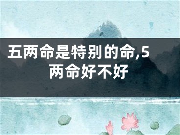 五两命是特别的命,5两命好不好