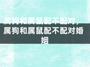 属狗和属鼠配不配对，属狗和属鼠配不配对婚姻