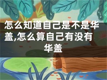 怎么知道自己是不是华盖,怎么算自己有没有华盖