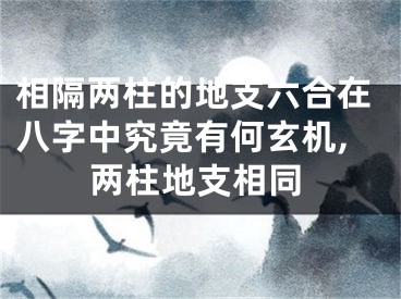 相隔两柱的地支六合在八字中究竟有何玄机,两柱地支相同