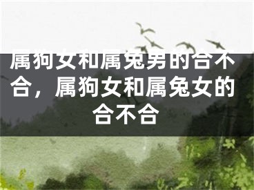 属狗女和属兔男的合不合，属狗女和属兔女的合不合