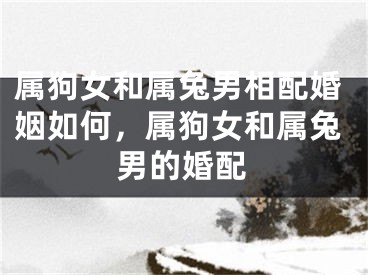属狗女和属兔男相配婚姻如何，属狗女和属兔男的婚配