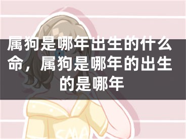 属狗是哪年出生的什么命，属狗是哪年的出生的是哪年