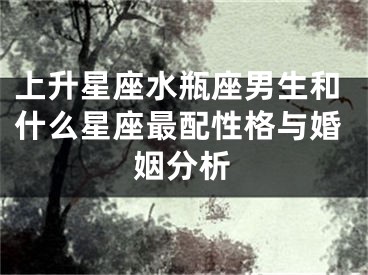 上升星座水瓶座男生和什么星座最配性格与婚姻分析