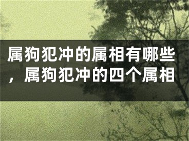 属狗犯冲的属相有哪些，属狗犯冲的四个属相