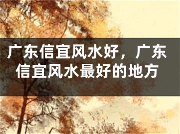 广东信宜风水好，广东信宜风水最好的地方