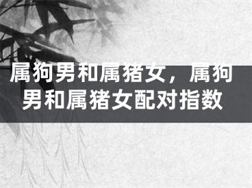 属狗男和属猪女，属狗男和属猪女配对指数
