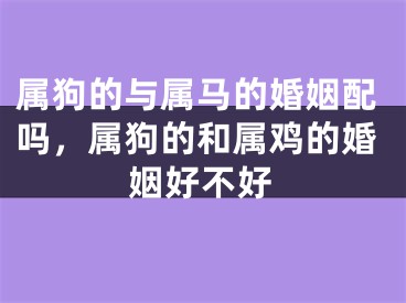 属狗的与属马的婚姻配吗，属狗的和属鸡的婚姻好不好