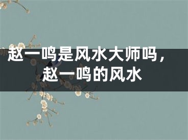 赵一鸣是风水大师吗，赵一鸣的风水